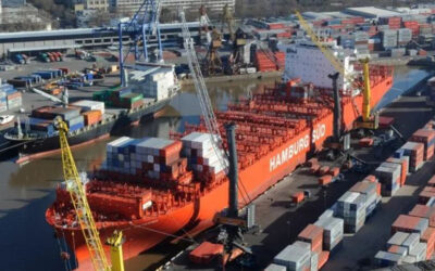 Alertan por demoras en las «SIMI» para autorizar importaciones